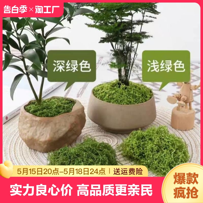 仿真苔藓青苔草皮仿生人造假苔藓微景观布置摆件草坪盆景盆栽装饰