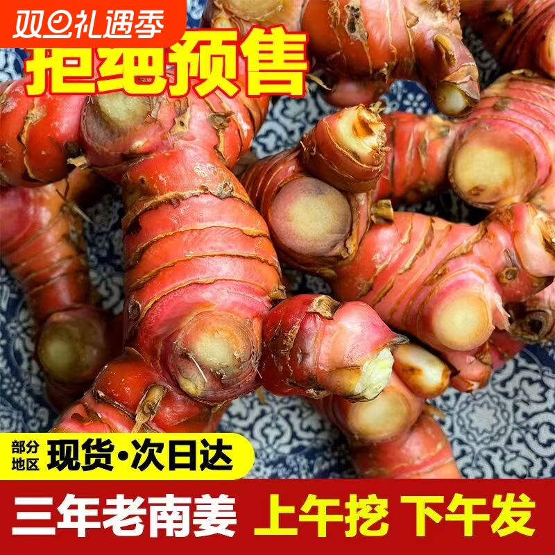 南姜潮汕野生山姜牛羊肉火锅卤味去膻提味调料南姜