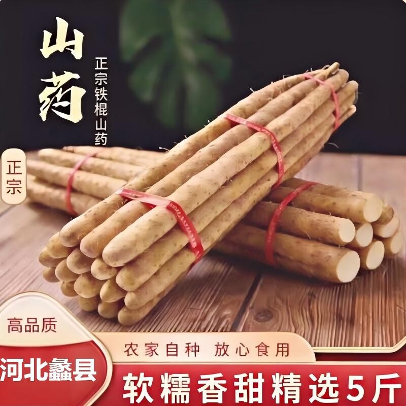 铁棍山药新鲜淮山药铁杆山药小白嘴现挖山药5斤非温县垆土怀山药