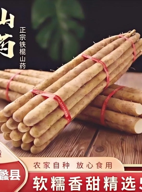 铁棍山药新鲜淮山药铁杆山药小白嘴现挖山药5斤非温县垆土怀山药