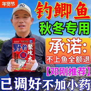 鲫鱼饵料野钓专用第一名主攻大板鲫黑坑散炮四季超浓腥香钓鱼饵料
