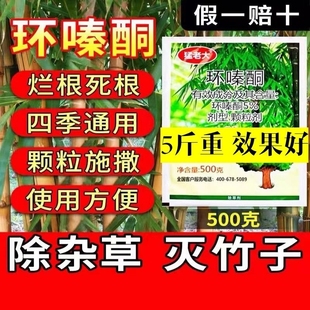 环嗪哃除草烂根剂一扫光除大树竹子烂根粉灌木强力杀树颗粒剂杂草