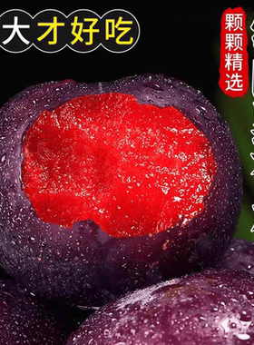 红肉黑布林李子新鲜血丝玫瑰李现摘红肉恐龙蛋黑布林孕妇新鲜水果