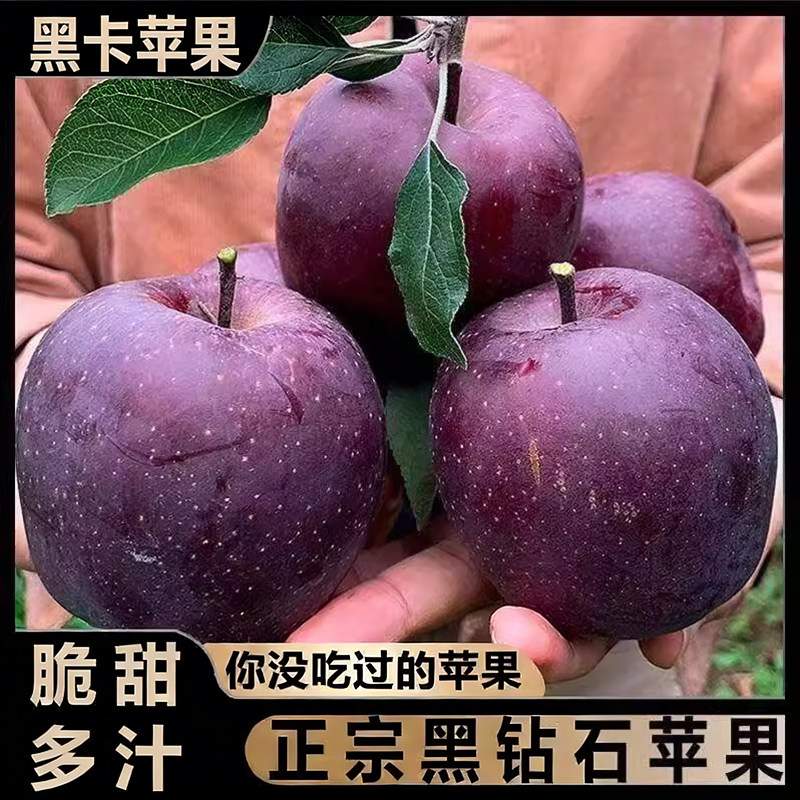 甘肃黑卡苹果正宗黑钻苹果当季新鲜水果整箱包邮纯甜冰糖心脆面,水产肉类/新鲜蔬果/熟食,苹果,淘宝优惠券,粉丝福利购,淘宝优惠卷