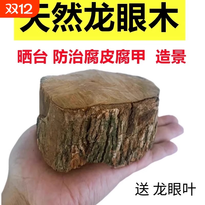 养乌龟专用缸龙眼木晒台爬坡躲避窝净化水质造景摆件用品龙眼叶子