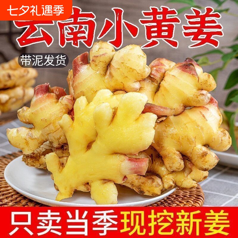 生姜老姜云南小黄姜3斤5斤9斤新鲜现挖高山沙姜土姜种子蔬菜食用