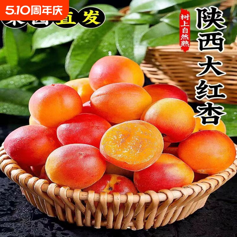 正宗精选陕西贵妃小红杏新鲜当季孕妇水果现摘鲜甜多汁胭脂蜜杏