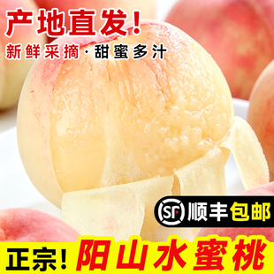正宗无锡阳山水蜜桃子应当季现摘新鲜水果湖景白凤毛整箱顺丰包邮