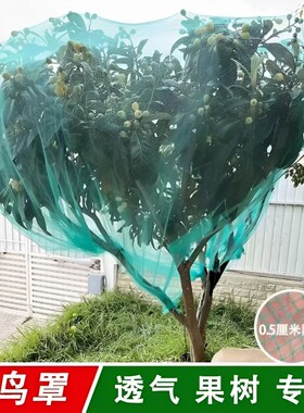 果树防鸟网罩果园防鸟网樱桃树嘉宝防鸟罩防冰雹网围网防护网盆景