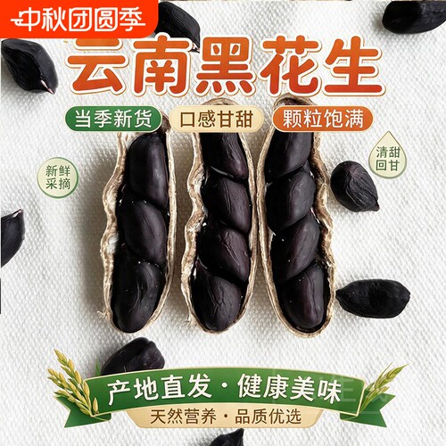 云南黑花生富硒普洱2026新货晒干种带壳黑皮花生米新鲜原味散装