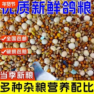 优质鸽粮玉米粮食鸟食饲料鸽子营养保健幼鸽成鸽肉鸽观赏鸽信鸽粮