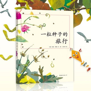 儿童7 10岁科普书 绘本书非注音版 正版 旅行 荣获德国Luchs青少年文学科普大奖杰作7 12岁小学生课外阅读书籍图画书 一粒种子
