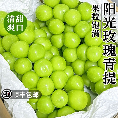 【阳光玫瑰葡萄青提顺丰包邮】