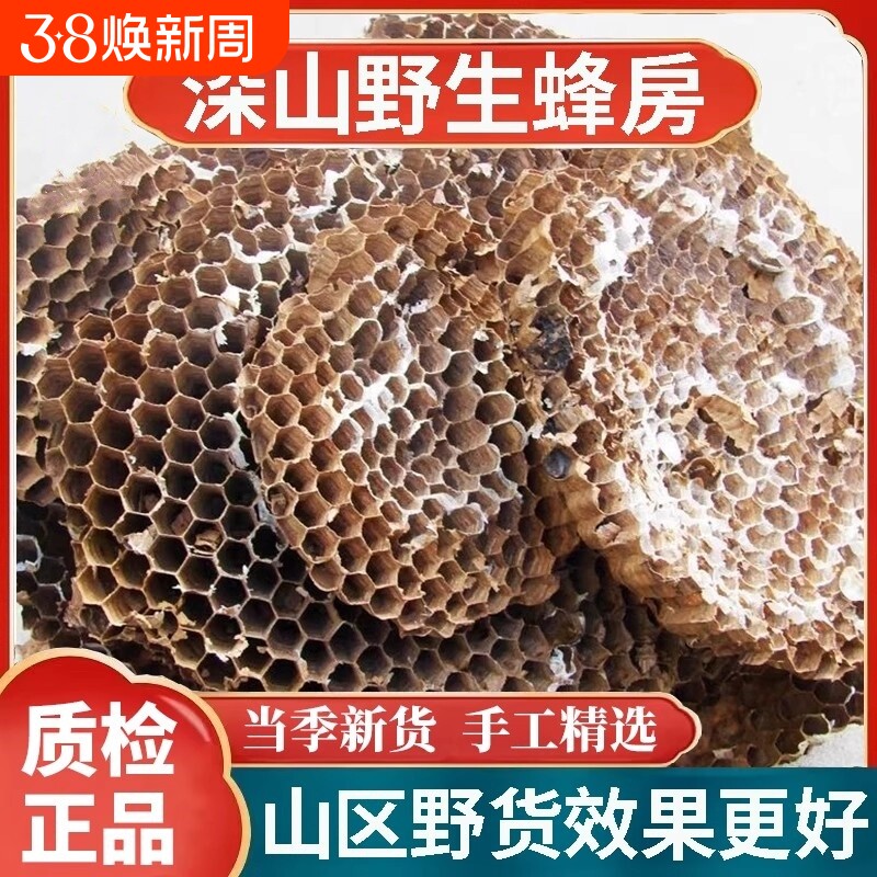 天然纯野生正品野蜂窝马蜂窝露蜂房黄蜂窝山蜂房老蜂巢中药材蜜蜂