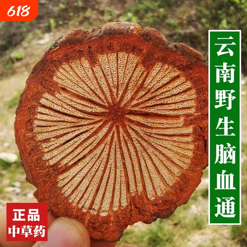 野生脑血通中药材正品血通片云南老树大血藤血塞通泡酒泡茶红藤片