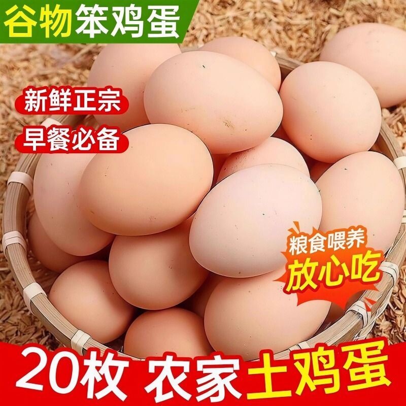 农家散养鲜鸡蛋谷物喂养土鸡蛋健康营养初产蛋笨鸡蛋40±5g/枚