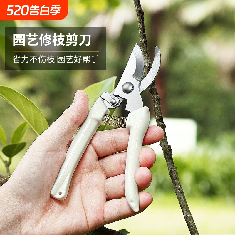 园艺剪刀修剪树枝果树枝修剪刀专用工具花艺摘果枝剪修枝园林花枝