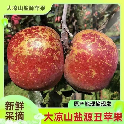 大凉山盐源丑苹果冰糖心新鲜当季原生态水果现摘现发生鲜脆甜高原