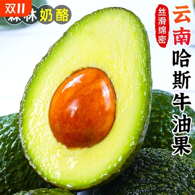 哈斯牛油果现摘现发品质更佳