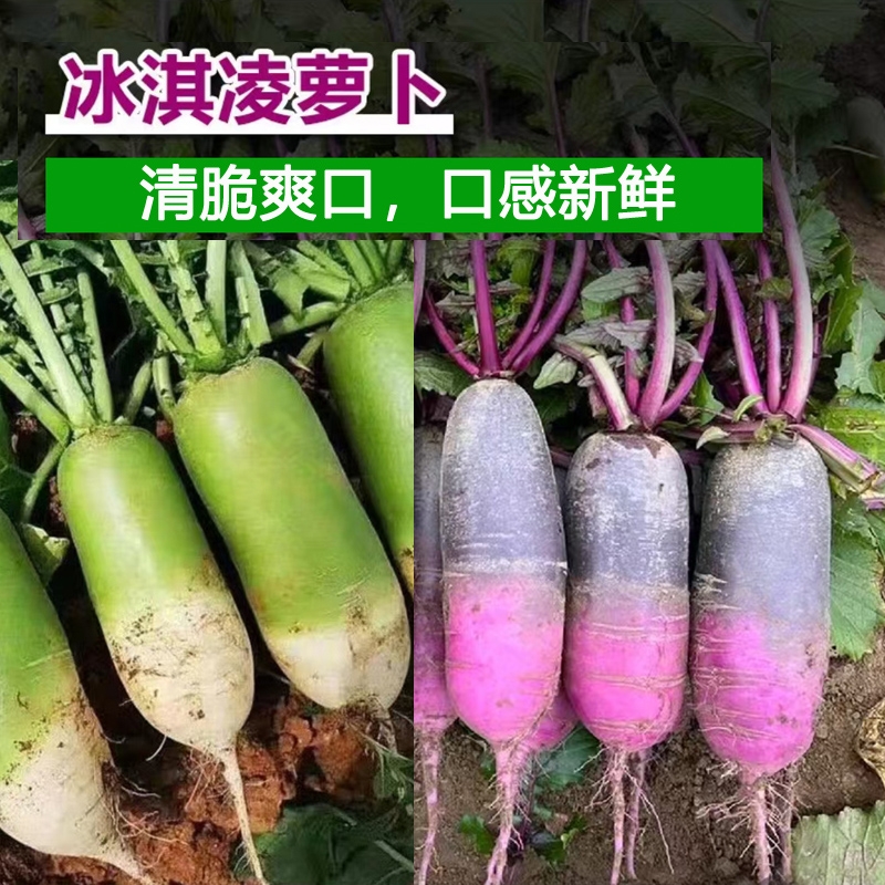 冰激凌萝卜糖心萝卜清脆爽口