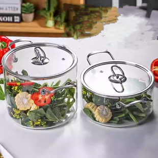 九阳高硼硅玻璃汤锅不锈钢双耳玻璃锅电陶炉明火直烧蒸煲炖汤锅