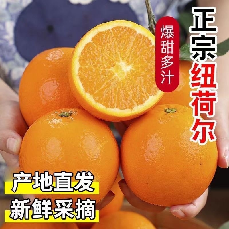 纽荷尔脐橙湖北鲜甜多汁，手剥