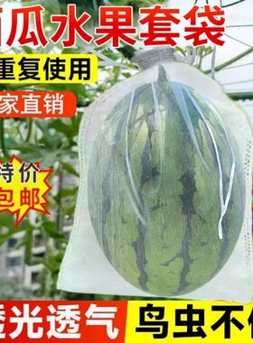 西瓜水果套袋防鸟防虫专用袋透气冬瓜瓜果果袋防果蝇葡萄苦瓜玉米