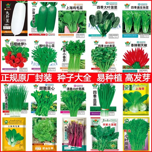 蔬菜种子大全鸡毛菜种子小油菜种籽小白菜四季瓜果籽盆栽庭院阳台