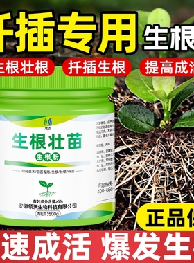 扦插专用生根粉生根液植物通用型果树木移栽生根剂花卉绿植肥快速