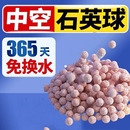 五色石英球龙鱼海缸过滤材料过滤桶生化中空球陶瓷环鱼缸细菌屋