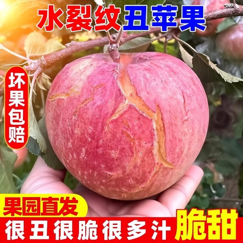 【爆甜】山西运城冰糖心丑苹果新鲜水果批发价当季一整箱红富士