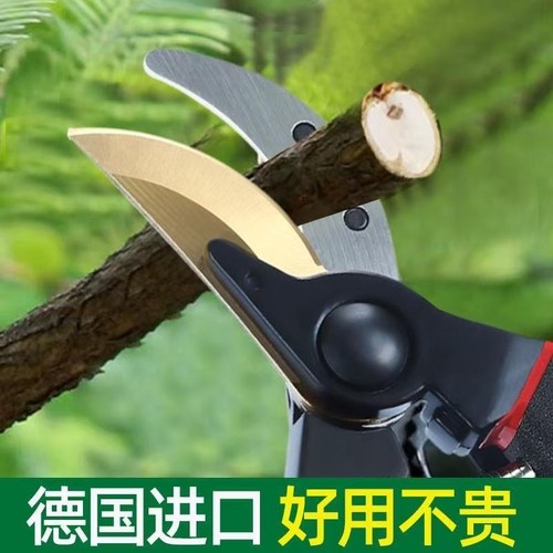 修剪树枝专用剪刀园艺修枝剪刀果树修枝剪园林花艺花卉高硬度