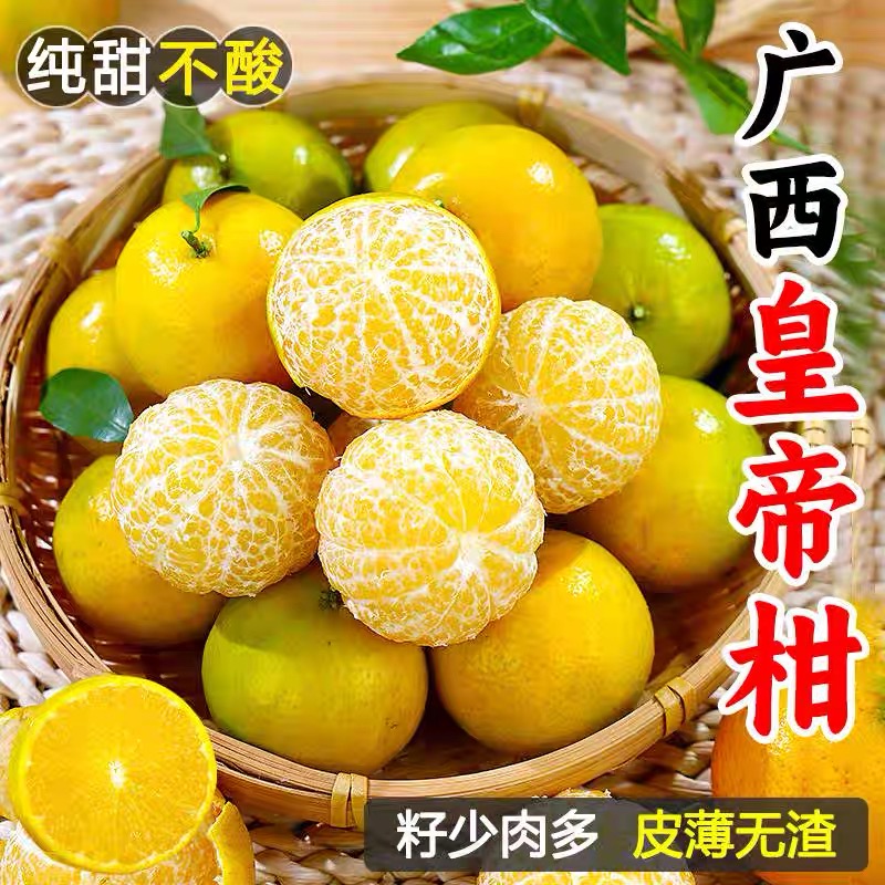 广西纯甜新鲜现摘皇帝柑子蜜桔当季水果正宗礼盒柑子