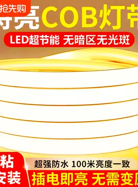 led灯带220v户外防水超亮自粘线形灯家用客厅吊顶氛围灯cob软灯条