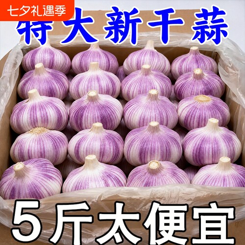 【十足干蒜】金乡大蒜干蒜特大果