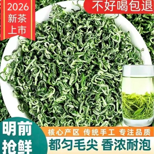 绿茶都匀毛尖茶叶2026新茶贵州高山云雾浓香型袋装口粮茶散装好喝