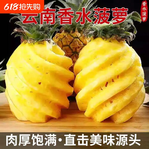 菠萝徐闻香水菠萝新品香甜应季新鲜水果树熟现摘特大果不是凤梨