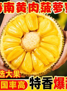 海南黄肉菠萝蜜新鲜水果当季现摘生鲜一整个波罗果肉大果热带香蕉