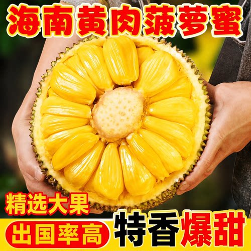 海南黄肉菠萝蜜新鲜水果当季现摘生鲜一整个波罗果肉大果热带香蕉