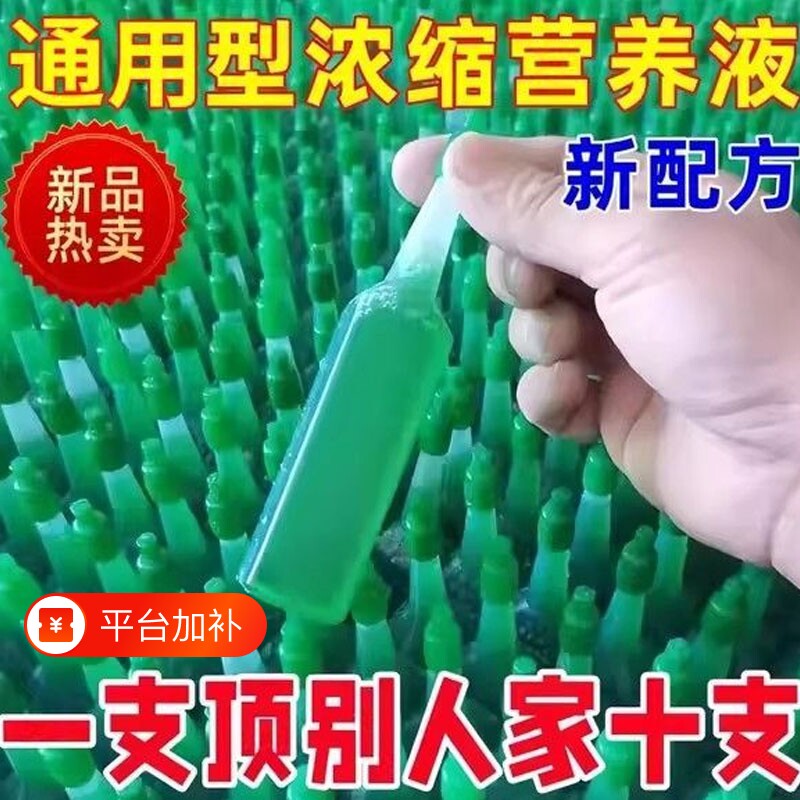 家用盆栽植物绿萝营养液发财树富贵竹水培花卉通用型绿植养花肥料