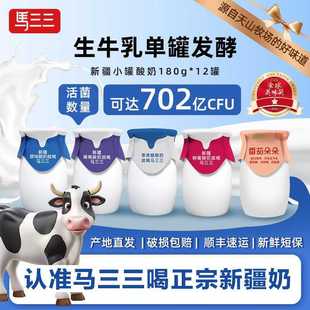 新疆马三三原味酸奶低温早餐奶180gx11罐 顺丰发货