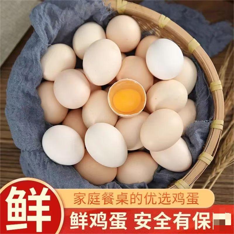 鸡蛋新鲜土鸡蛋正宗农家散养谷饲鲜鸡蛋单枚鸡蛋40-50g多规格