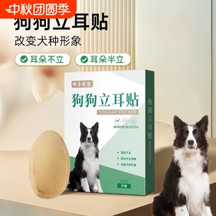 狗狗立耳朵神器小狗犬立耳贴德牧柯基雪纳瑞耳朵固定辅助竖耳器