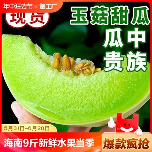 包邮 正宗冰淇淋蜜瓜香瓜羊角瓜整箱 海南玉菇甜瓜9斤新鲜水果当季