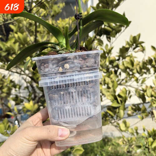 蝴蝶兰套盆透气控根半水培方花盆内外桶搭配套装控根盆桌面阳台