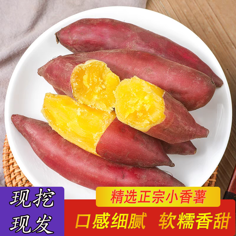 临安天目山小香薯板栗红薯新鲜现挖农家自种地瓜软糯香甜产地包邮
