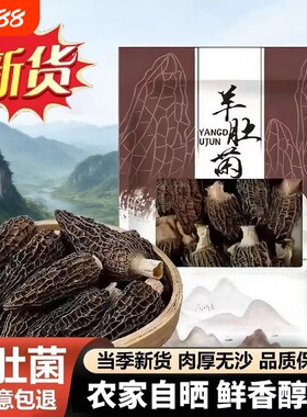 果官宣精品羊肚菌干货头茬新鲜煲汤滋补食材炖汤无干燥剂火锅手工