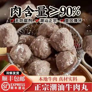 正宗潮汕手工牛肉丸汕头特产潮州手打牛筋丸子烧烤火锅食材商用