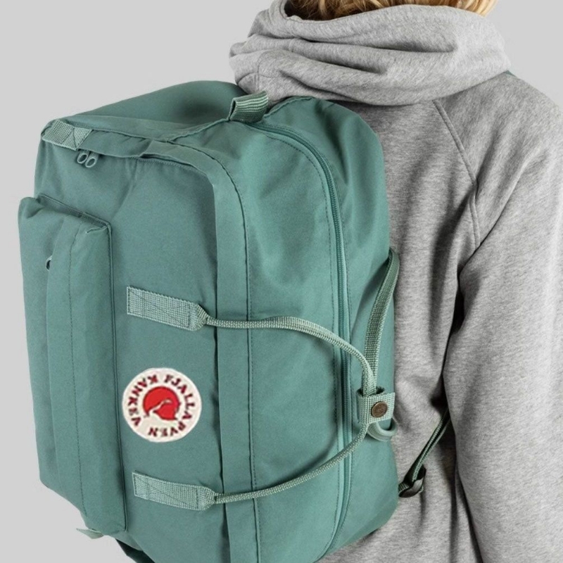 北极高品质狐狸运动健身