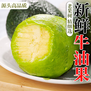 牛油果大果新鲜水果当季熟透即可食一级鳄梨辅食哈斯奶油包邮10